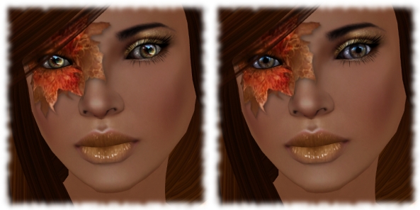 Real Eyes_Free Gift + New Group Gift_FL-Autumn & FL-Aire's Eyes